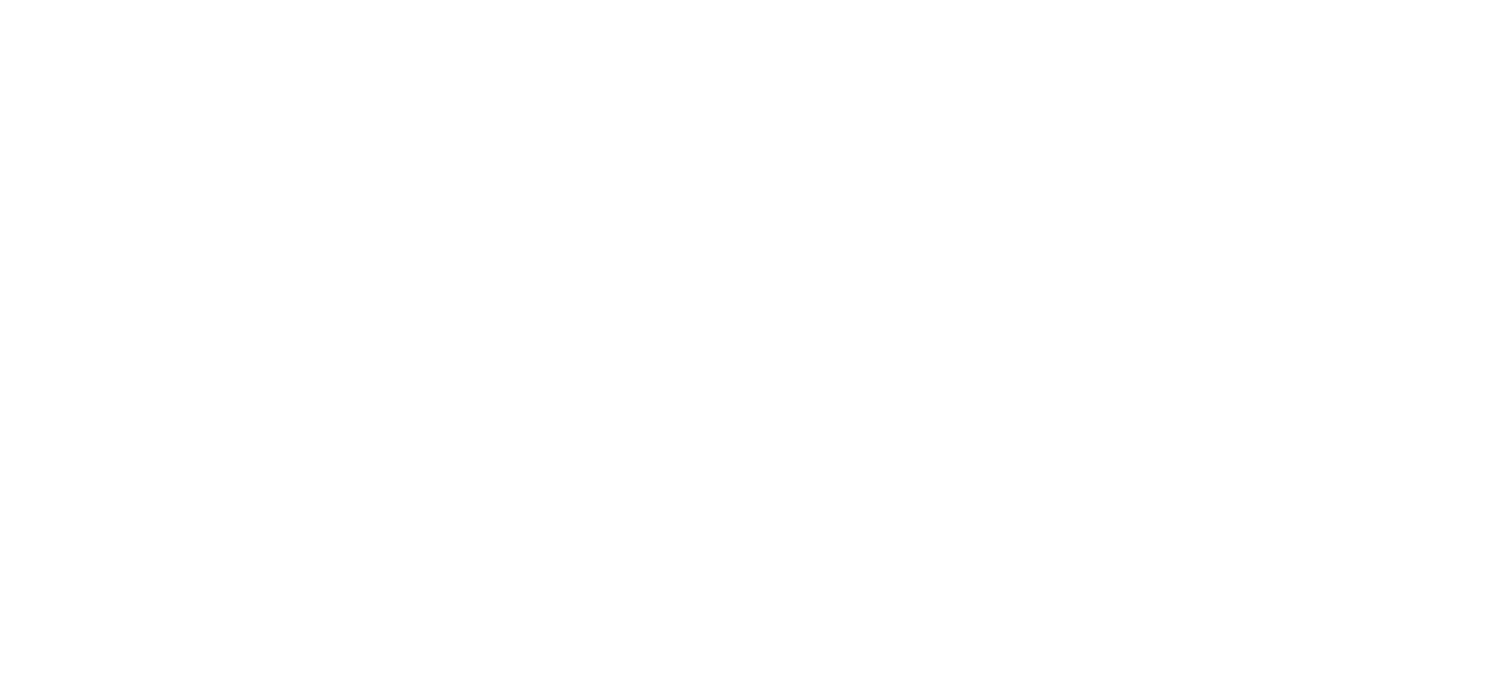 Rhino Decor Logo WHITE